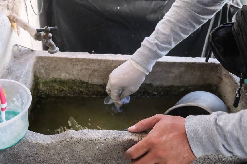 La clave para reducir el dengue en&nbsp;Jalisco