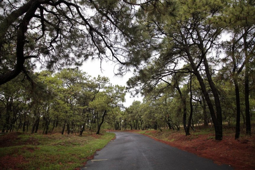 Disfrutar del Bosque La Primavera de manera&nbsp;responsable.