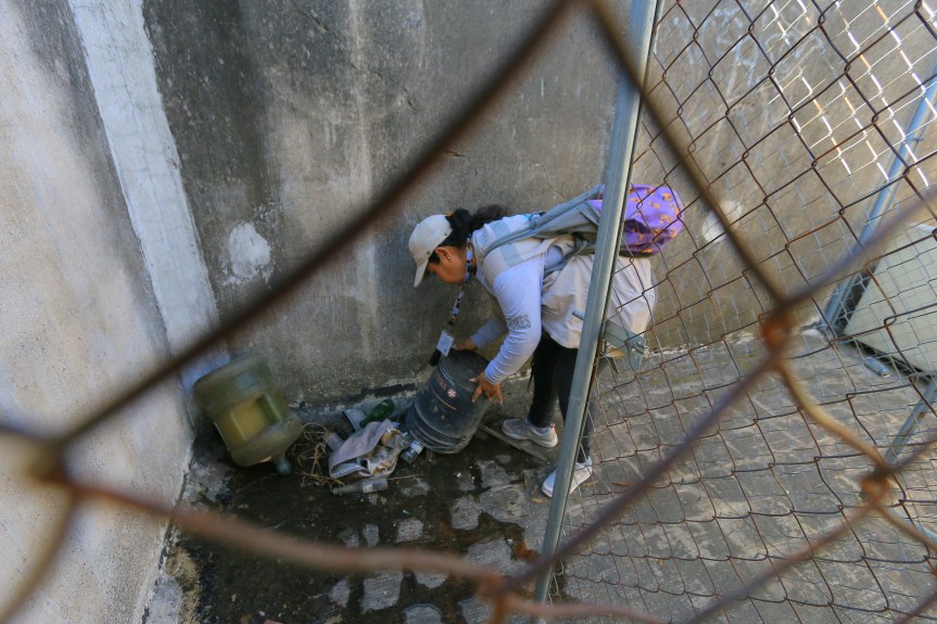 Refuerzan vigilancia para prevenir el dengue en&nbsp;Jalisco.