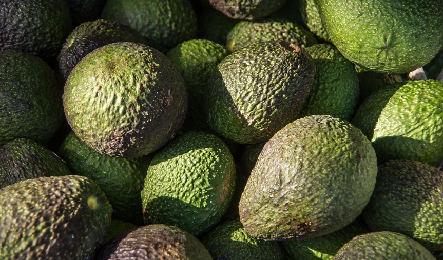 Los aguacateros mexicanos buscan nuevos mercados ante los aranceles de&nbsp;Trump.