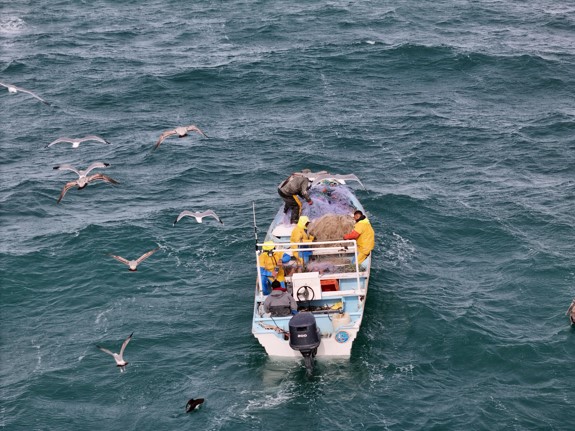 México refuerza protección marina con apoyo de Sea&nbsp;Shepherd.