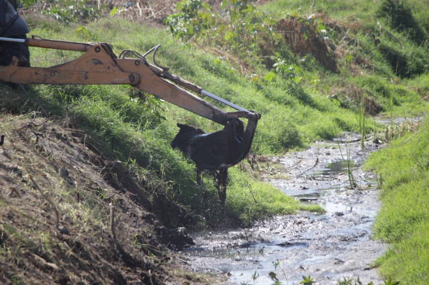 Realizan limpieza de arroyos en Tlaquepaque, para prevenir&nbsp;inundaciones.