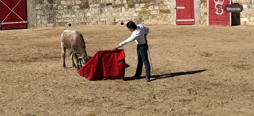CDMX aprueba corridas de toros sin&nbsp;violencia.
