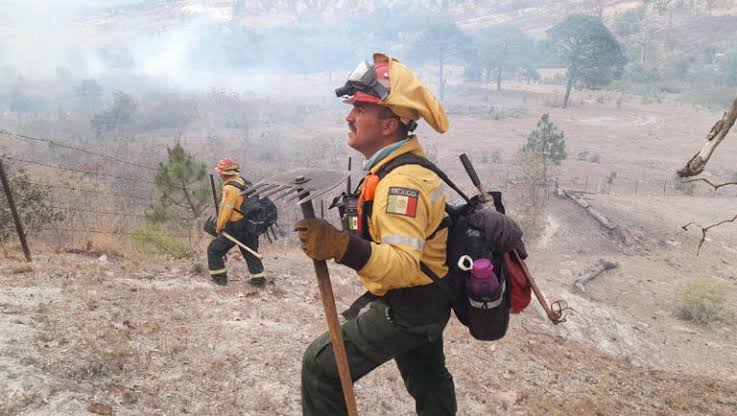 Incendio en el Bosque de la Primavera afecta varias zonas de&nbsp;Zapopan