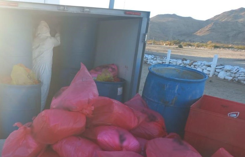 Decomisan más de tonelada y media de droga en Baja&nbsp;California.