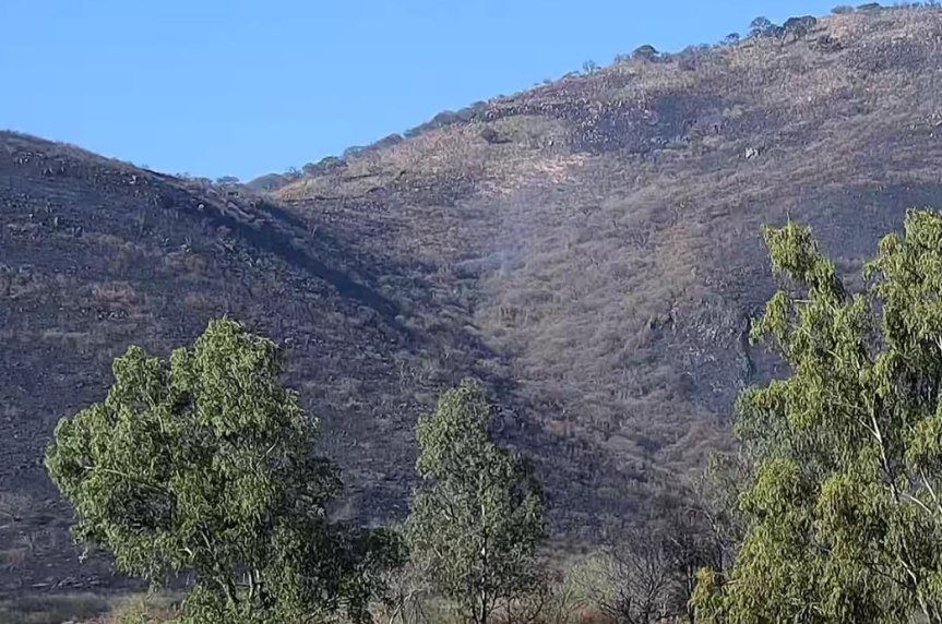 Controlan incendio en cerro Las&nbsp;Latillas.