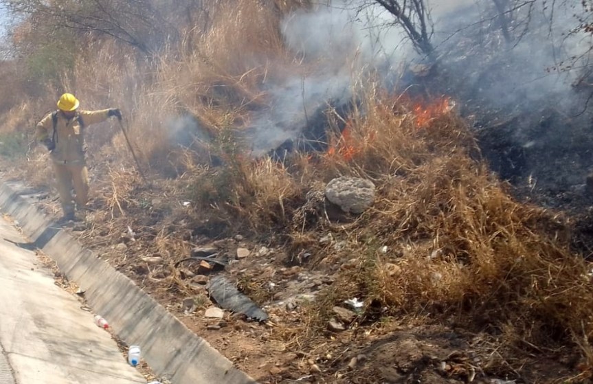 Controlan incendio en Cerro Viejo; afectó siete&nbsp;hectáreas.