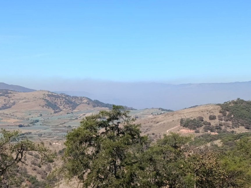 Alerta por incendio en Magdalena, Tequila y&nbsp;Amatitán.