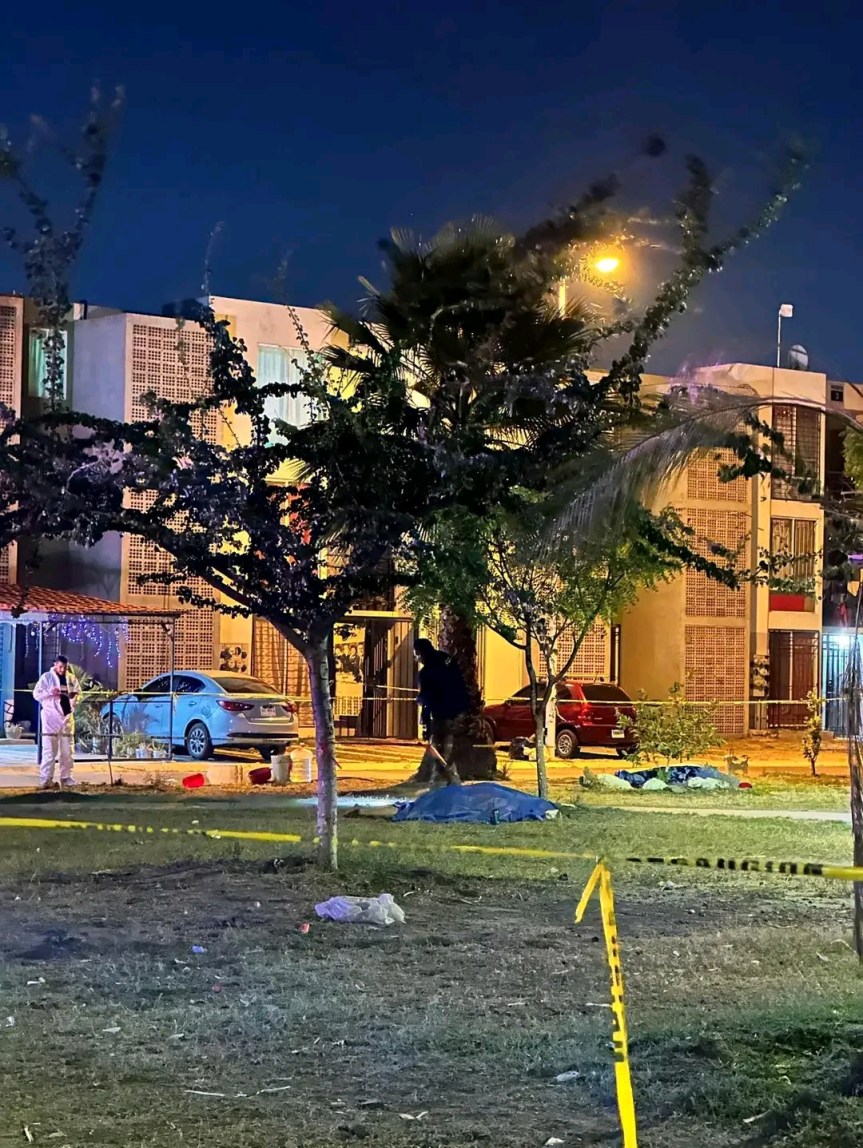 Asesinan a buscadora de desaparecidos y a su&nbsp;hijo.