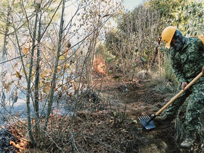 Brigadistas forestales protestan&nbsp; por incumplimientos&nbsp;laborales.