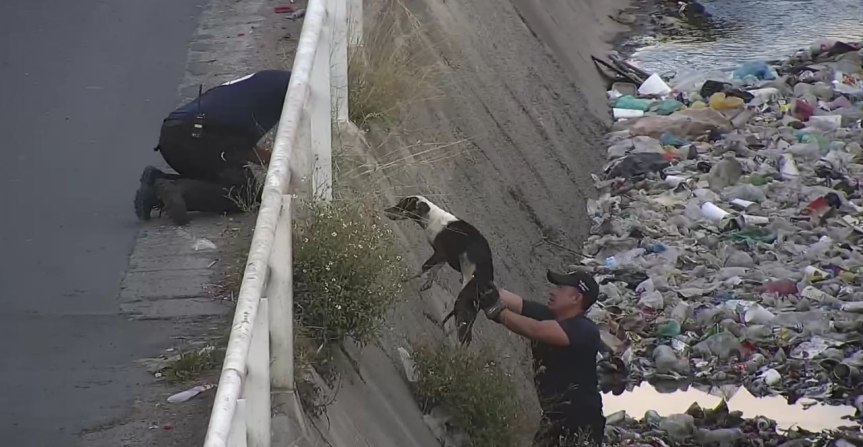 Rescatan a perro atrapado en canal pluvial de&nbsp;Chulavista.