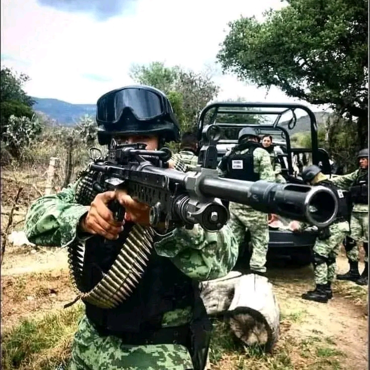 Operativo federal deja siete&nbsp;detenidos.