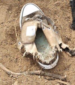 Investigan posibles restos óseos en Ahualulco de&nbsp;Mercado