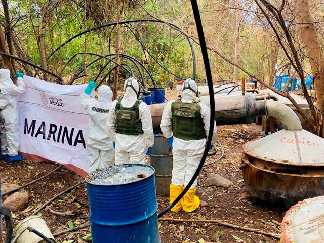 Desmantelan seis narcolaboratorios en&nbsp;Sinaloa.