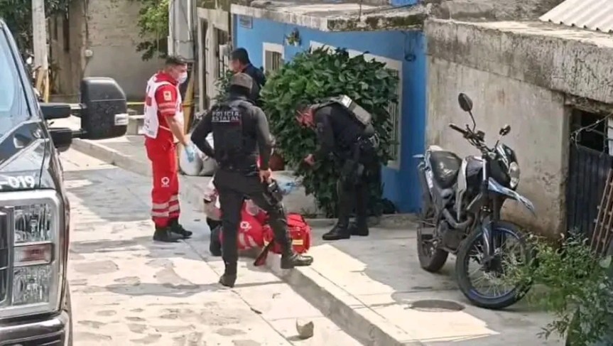 Hallan brazo humano; perros jugaban con&nbsp;él.
