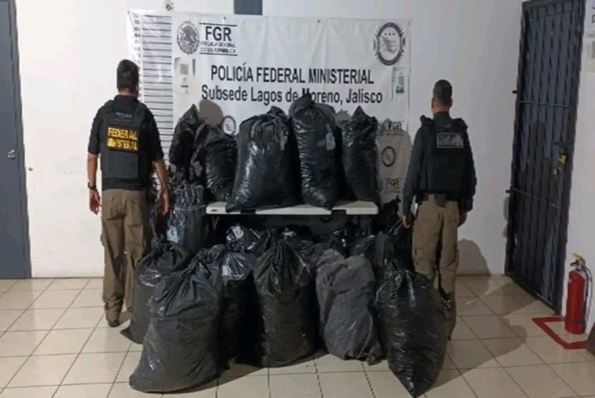 Decomisan 145 kilos de&nbsp;marihuana.