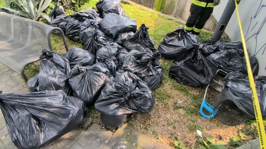 Aseguran 354 kilos de marihuana en canal&nbsp;pluvial.