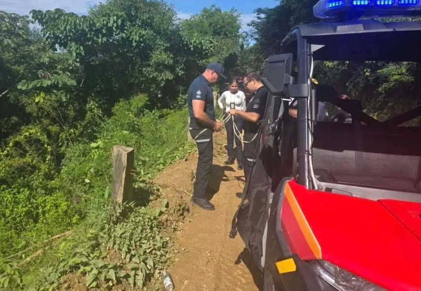 Hallan tres cadáveres en camioneta caída a&nbsp;barranco.
