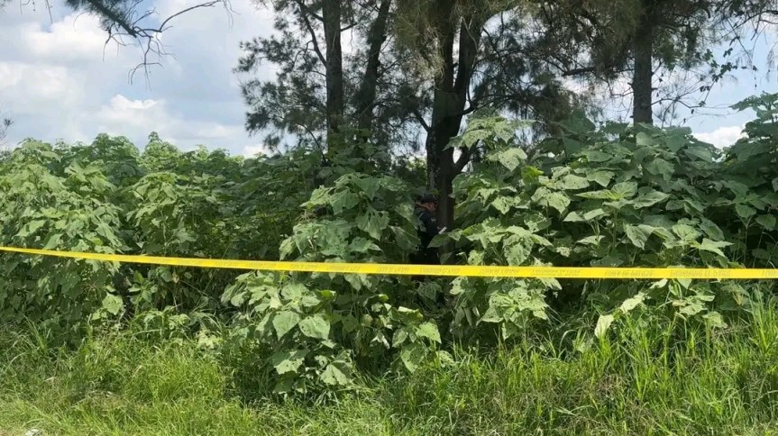 Localizan nueva fosa clandestina en&nbsp;Zapopan.