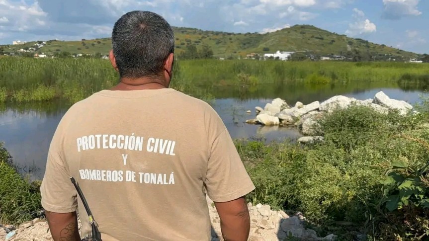 Localizan cocodrilo en la presa Las&nbsp;Rusias.