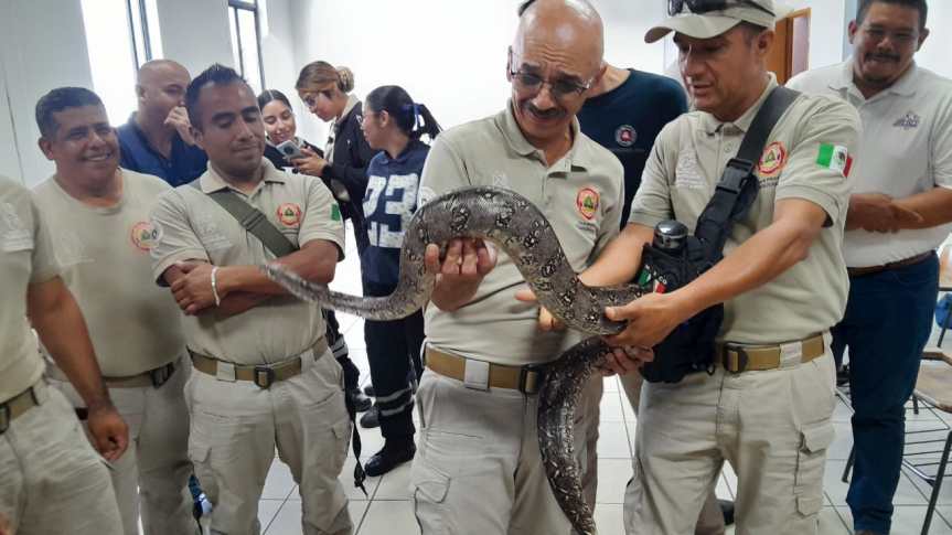 Capacitan en manejo de animales&nbsp;ponzoñosos.