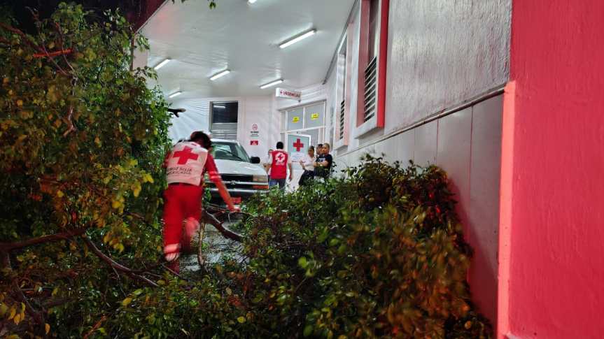 Caída de árboles obstruye acceso a urgencias de la Cruz&nbsp;Roja.