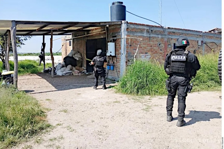 Aseguran «narcofinca» en&nbsp;Teocaltiche.