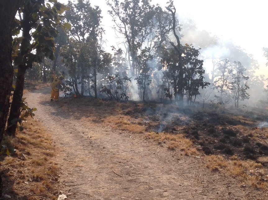 Implementan el Manejo de Fuego Controlado para Prevenir Incendios&nbsp;Forestales.