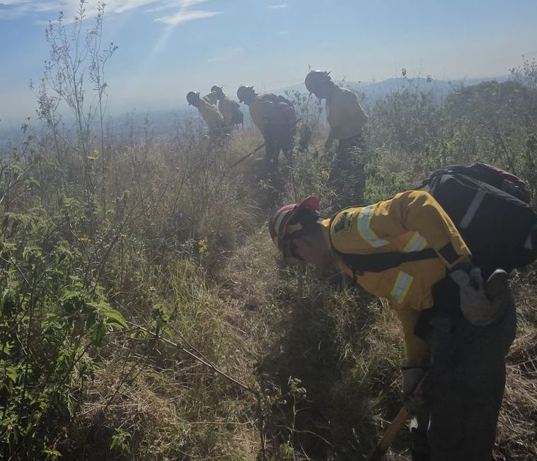 Buscan evitar incendios&nbsp;forestales.