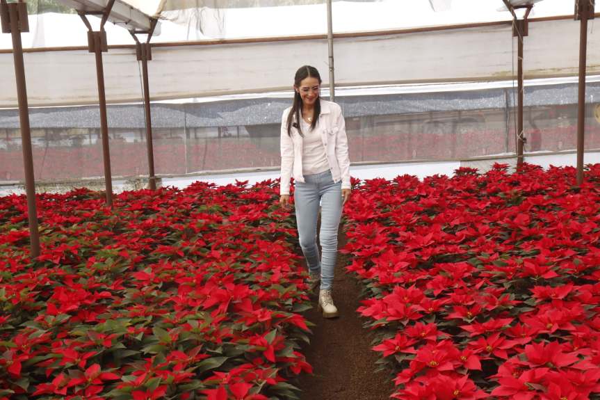 Tlaquepaque incrementará 80% el apoyo al campo en&nbsp;2026.