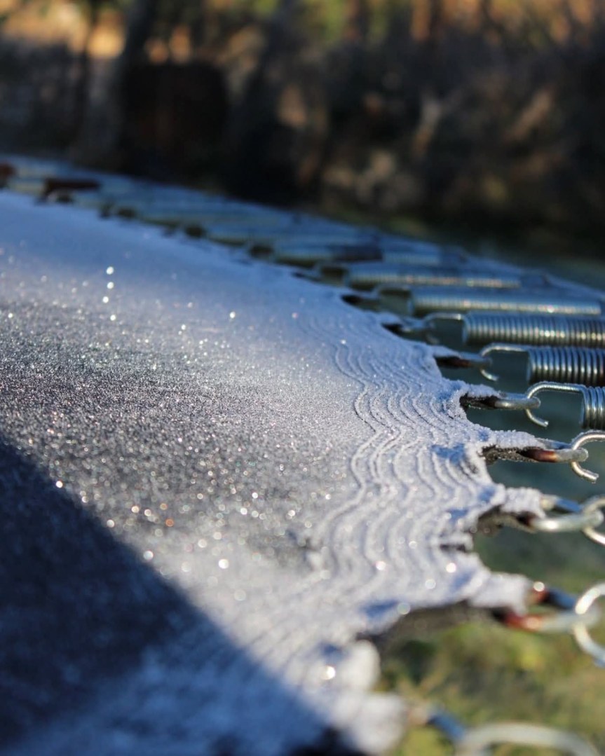 Heladas afectan comunidades de Tapalpa y otros municipios de&nbsp;Jalisco.