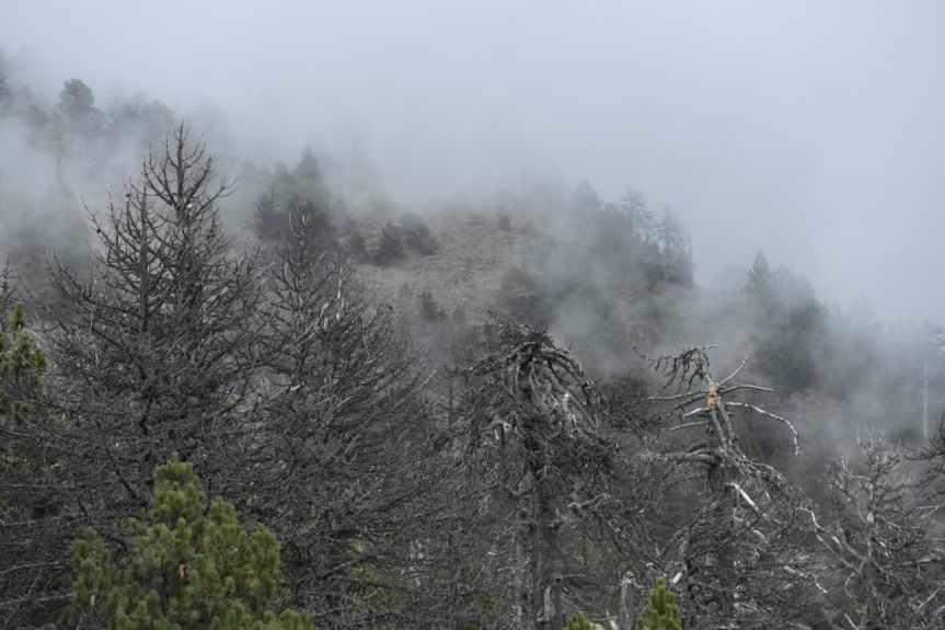 Reportan temperaturas bajo cero, en el volcán de&nbsp;Colima.