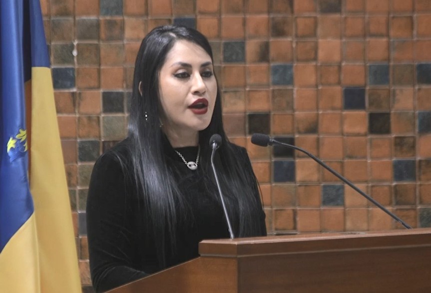 Llaman a priorizar el «bienestar» de la&nbsp;niñez.