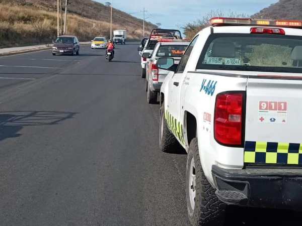 Unidad policial sufre accidente al chocar con una&nbsp;vaca.