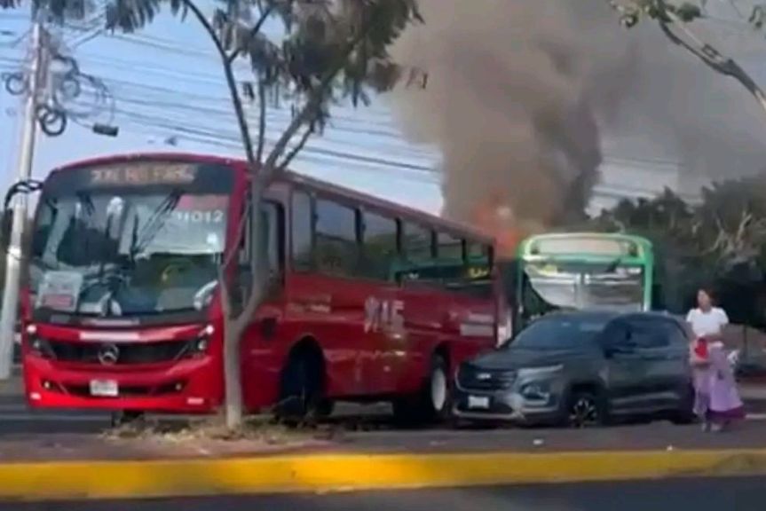 La Universidad de Guadalajara llama a calma tras el operativo en&nbsp;Tapalpa.