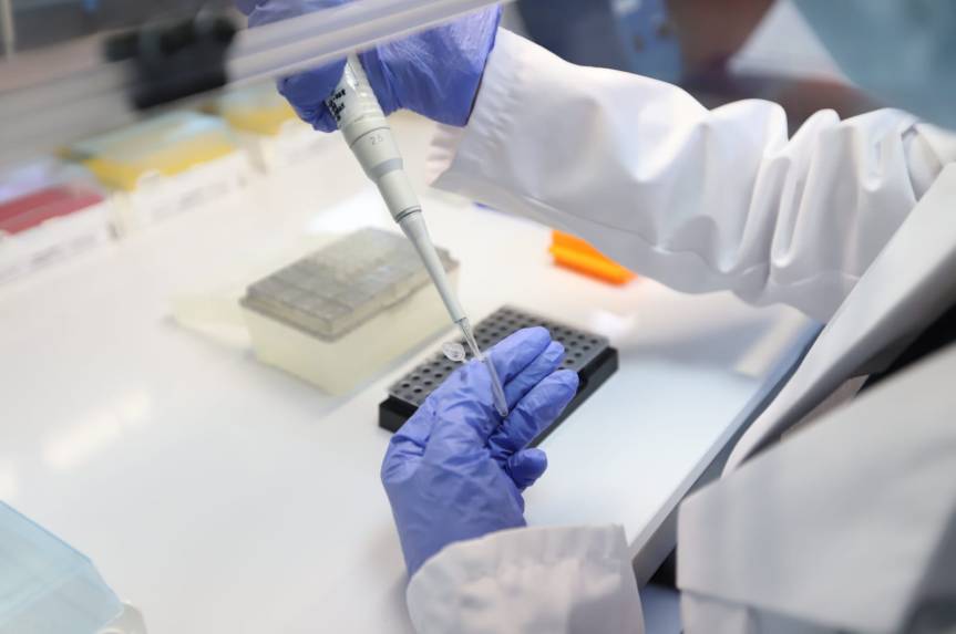 IJCF instalará brigada en Puerto&nbsp;Vallarta.