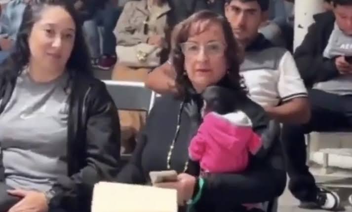 Regidora de Ocotlán golpea a un&nbsp; mono&nbsp;araña.